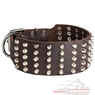 Hundehalsband aus Leder breit mit zahlreichen Pyramiden, solid Hundehalsband aus Leder breit mit zahlreichen Pyramiden, solid