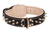 Hundehalsband aus Leder mit Messing-Spikes und Nappa-Futter