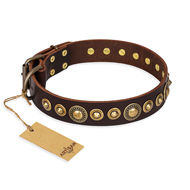 Leder Hundehalsband "Ancient Warrior" FDT Artisan in Braun Leder Hundehalsband "Ancient Warrior" FDT Artisan in Braun