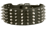 Leder Hundehalsband mit zahlreichen Spikes und Pyramiden breit Leder Hundehalsband mit zahlreichen Spikes und Pyramiden breit