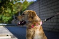 Leder Hundehalsband für Golden Retriever in Rosa, elegant Leder Hundehalsband für Golden Retriever in Rosa, elegant