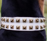 Hundehalsband Fettleder | Weißes Halsband für Dobermann Hundehalsband Fettleder | Weißes Halsband für Dobermann