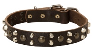 Hundehalsband Leder mit ungewöhnlichen Schmucken, extravagant Hundehalsband Leder mit ungewöhnlichen Schmucken, extravagant