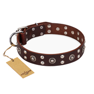 https://www.hundegeschirre-store.de/images/hundehalsband-leder-fuer-stilvolle-auslauefe.jpg