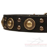 Buy Collars from
leather luxury