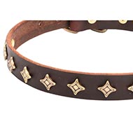 Leather Dog Collar narrow star design buy