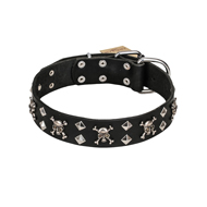 https://www.hundegeschirre-store.de/images/hundehalsband-leder-in-schwarz-originell-praktisch.jpg