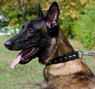 Einzigartiges Leder Hundehalsband für Malinois Super Design Einzigartiges Leder Hundehalsband für Malinois Super Design