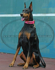 Hundehalsband Leder in Rosa mit originellem Dekor für Dobermann Hundehalsband Leder in Rosa mit originellem Dekor für Dobermann