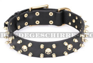 Hundehalsband Leder "Rock Star" FDT Artisan mit Messing-Dekor Hundehalsband Leder "Rock Star" FDT Artisan mit Messing-Dekor