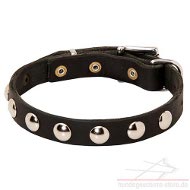 Studded Collar leather small dogs