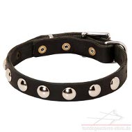 nietenhalsband leder
kleine hunde