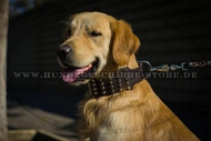 Hundehalsband Leder breit mit stilvoller Handverzierung, solid Hundehalsband Leder breit mit stilvoller Handverzierung, solid