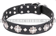 https://www.hundegeschirre-store.de/images/hundehalsband-leder-sicher-und-bequem.jpg