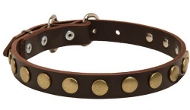 Hundehalsband Leder eng mit runden Messing-Schmucken, elegant Hundehalsband Leder eng mit runden Messing-Schmucken, elegant