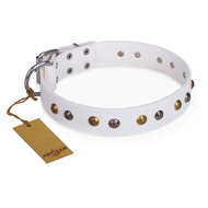 Hundehalsband Leder weiß "Snowflake" FDT Artisan, extraordinary Hundehalsband Leder weiß "Snowflake" FDT Artisan, extraordinary