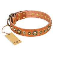 Leder Hundehalsband "Feast of Luxury" FDT Artisan, hell-braun Leder Hundehalsband "Feast of Luxury" FDT Artisan, hell-braun