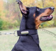 Nylonhalsband mit Namensschild | Halsband für Dobermann 2015 Nylonhalsband mit Namensschild | Halsband für Dobermann 2015