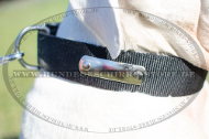 Hundehalsband Nylon für Amerikanische Bulldogge mit ID-Platte Hundehalsband Nylon für Amerikanische Bulldogge mit ID-Platte