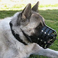 https://www.hundegeschirre-store.de/images/husky-muzzle-dog-muzzle-leather-maulkorb.jpg