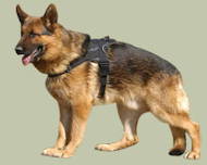 Hundegeschirr aus Nylon K9 für Deutschen Schäferhund Hundegeschirr aus Nylon K9 für Deutschen Schäferhund