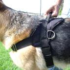 K9 nylon dog harness handle