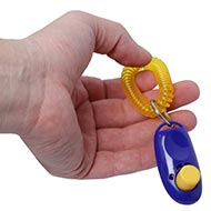 Clicker for dog
training