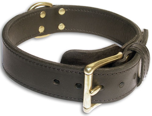 dog collar