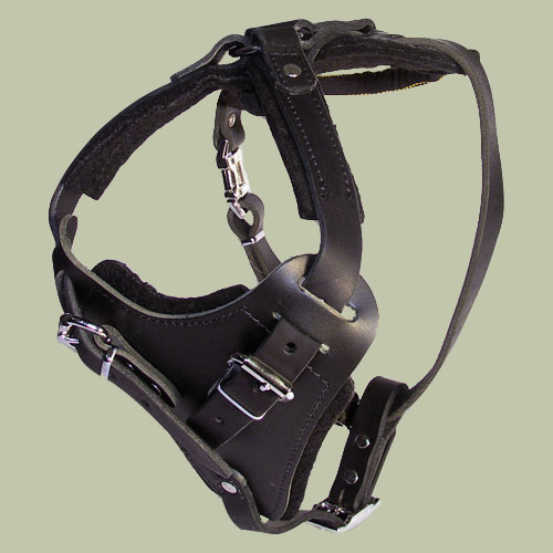 Bordeauxdogge Hetz-Hundegeschirr aus Leder
