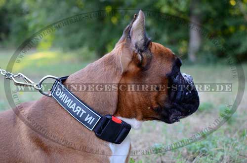 Boxer Hunde Halsband Nylon | Halsband mit Patches
