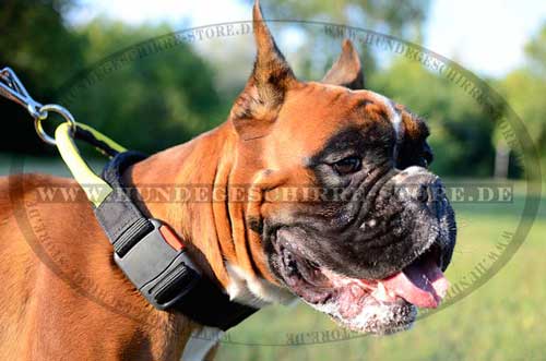 Halsband für Boxer | Boxer Hunde Halsband Nylon mit Griff