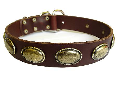 Retro-Stil Hundehalsband aus Leder