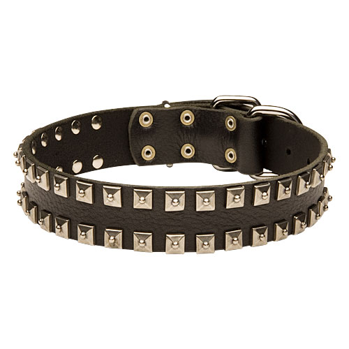 Leder Hundehalsband