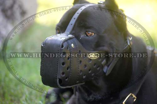 Cane Corso Ledermaulkorb fuer Attacke