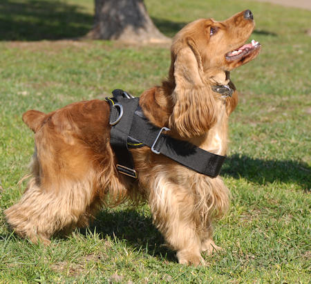 Nylon Dog Harness