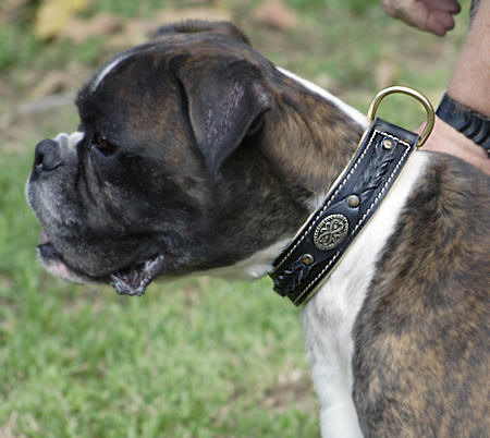 Leder Hundehalsband in einzigartigem Design, schön und bequem