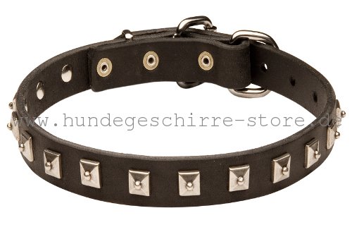 Feines Hundehalsband für Deutschen Schäferhund