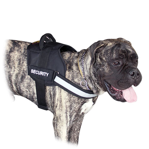 reflective dog harness for Bullmastiff