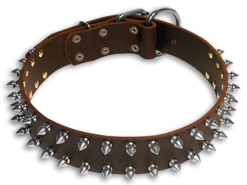 Spiked dog collar, leather