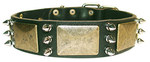 Halsband mit spikes