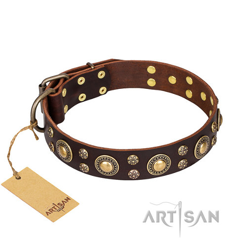 Exklusives Hundegeschenk, Fordogtrainers Halsband