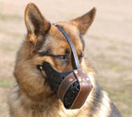 Maulkorb aus Leder für Deutschen Schäferhund, exklusiv Maulkorb aus Leder für Deutschen Schäferhund, exklusiv
