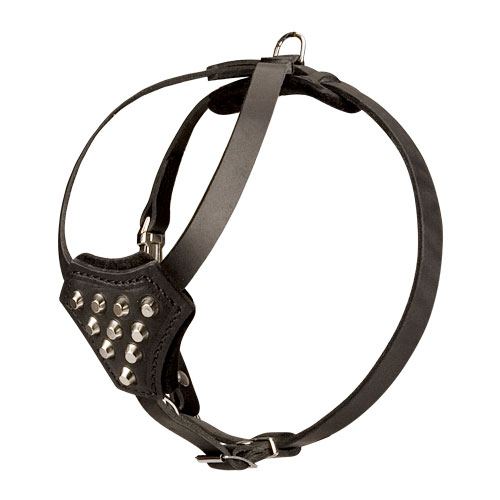 Hundegeschirr mit Pyramiden, kleine und mittelgroße Hunderasse