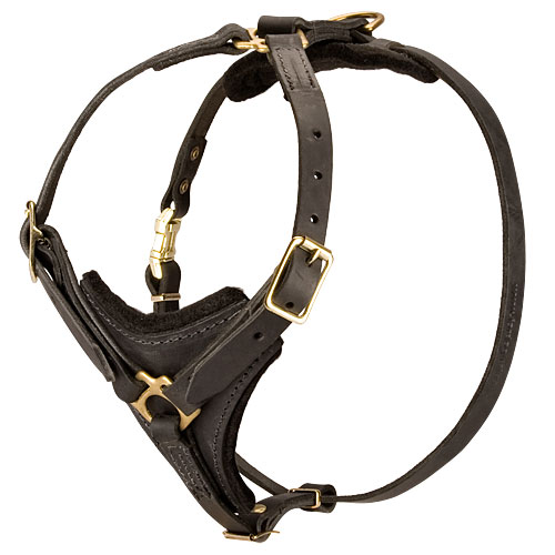 Leather Harness for Rottweiler