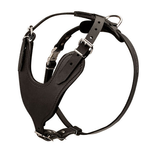 Padded Harness K9 