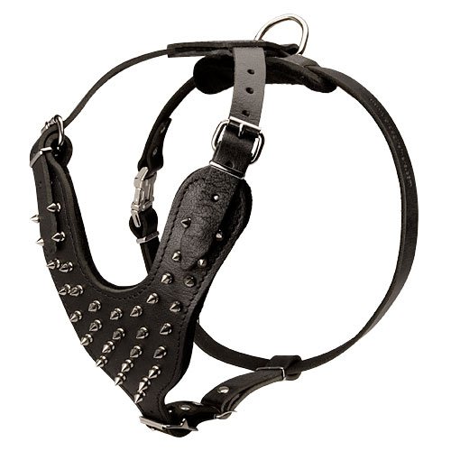 Spiked leather harness for Pitbull