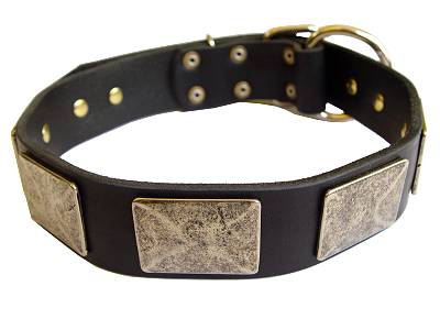 Great Leather Dog Collars With Vintage Massive Plates
