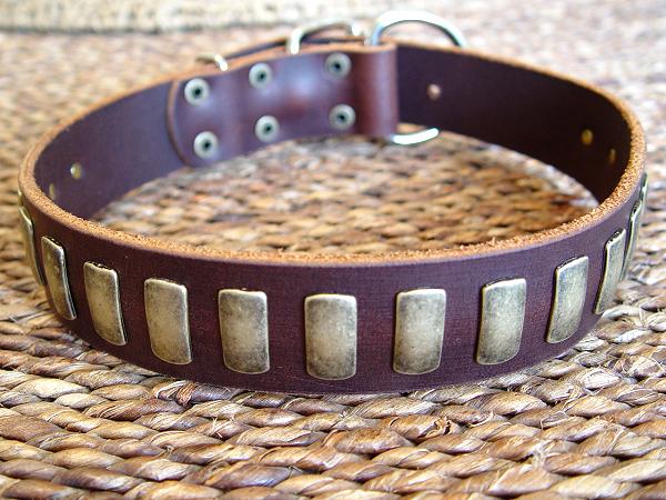 Gorgeous Wide Leather Dog Collar With Lateral Brass Plates 