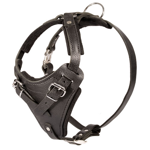 Padded Dog Harness Leather for South Russian Shepherd