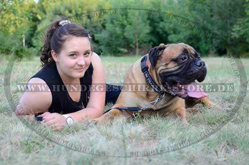 Halsband für Bullmastiff mit Patches